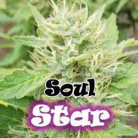 (Bild für) Soul Star female