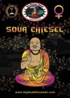 (Bild für) Sour Chiesel fem