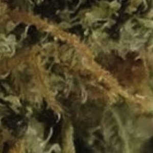 (Bild für) Strawberry Banana Zkittlez 5 reg