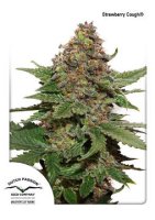 (Bild für) Strawberry Cough