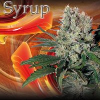 (Bild für) Syrup Auto fem