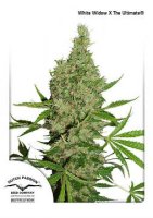 (Bild für) White Widow x The Ultimate