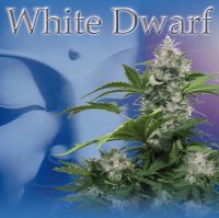 (Bild für) White Dwarf Auto fem