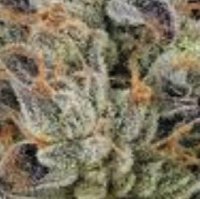 (Bild für) Zkittlez Cake 5 reg