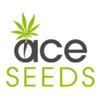 (Bild für) Ace Seeds