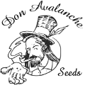(Bild für) Don Avalanche Seeds