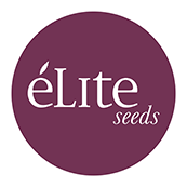 (Bild für) Elite Seeds
