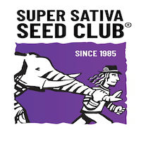 (Bild für) Super Sativa Seed Club
