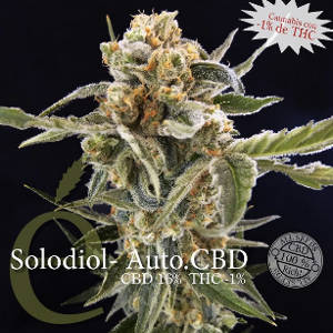 (Bild für) Solodiol Auto CBD female